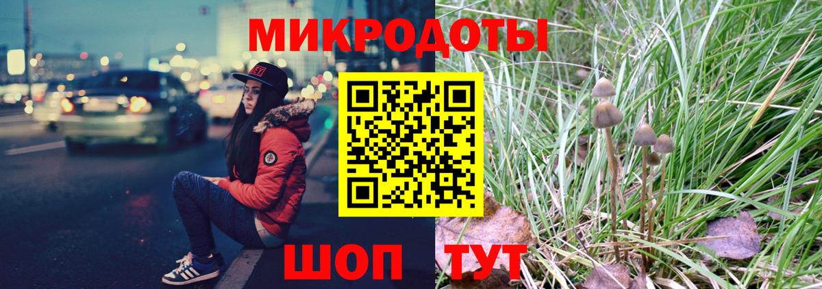 Рассказово  Галлюциногенные грибы прущие грибы  Вход с VPN 