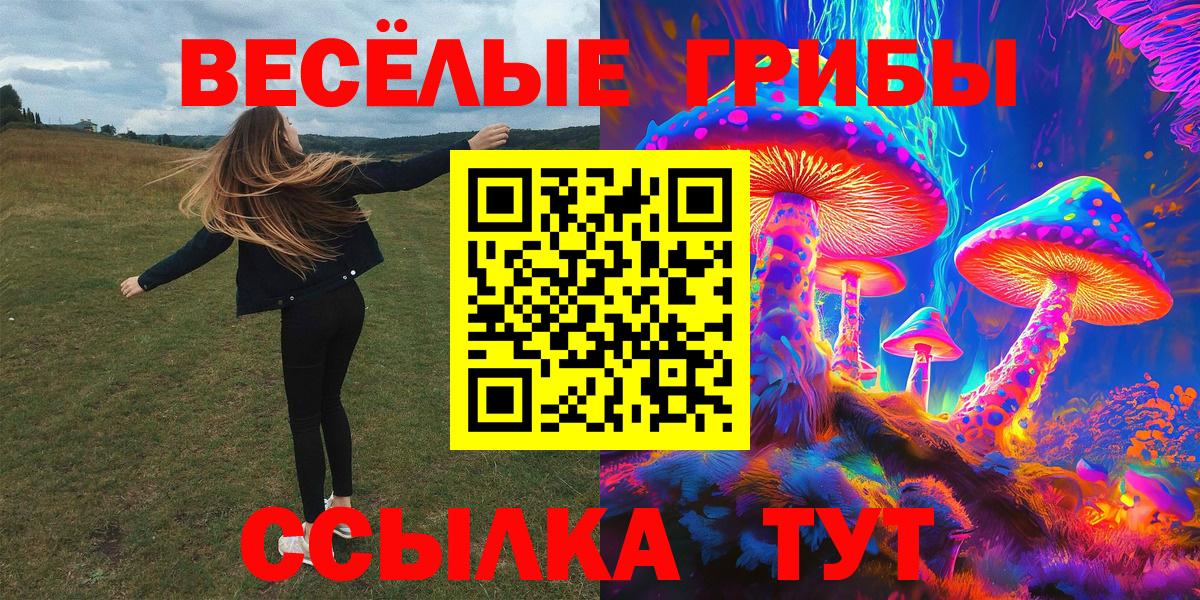 Галлюциногенные грибы Psilocybine cubensis Рассказово